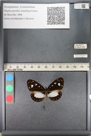 Media type: image;   Entomology 138460